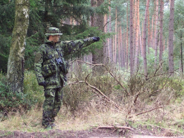 Dänisch DK Flecktarn